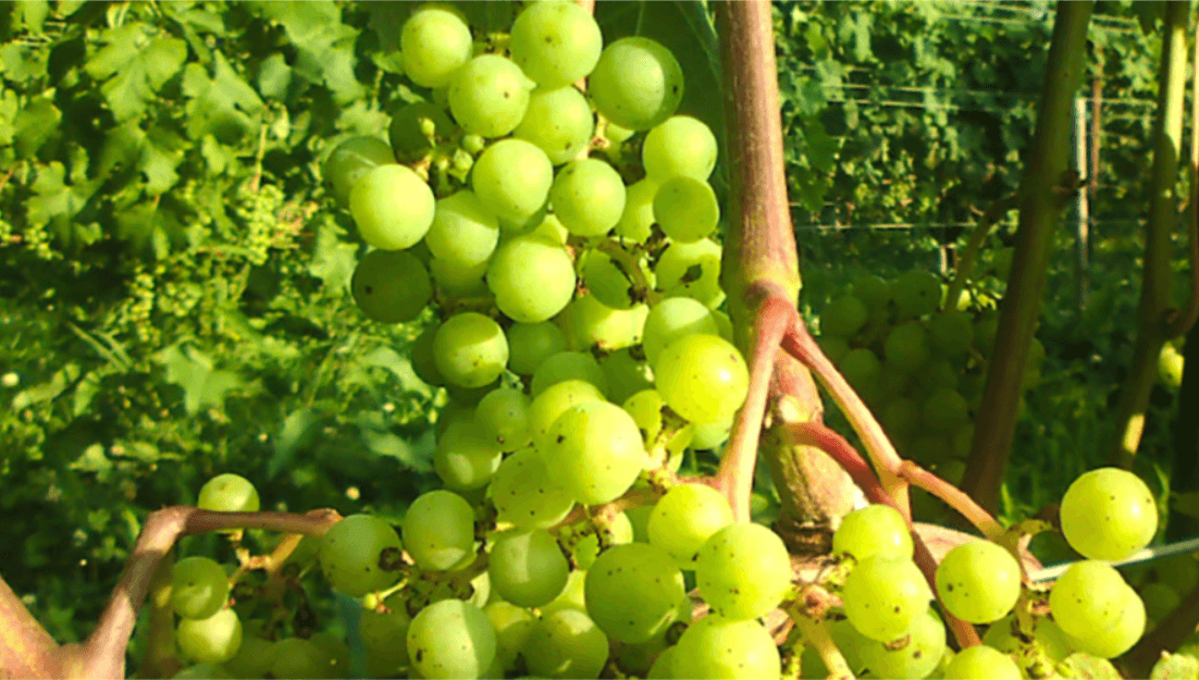 officeMainImageBlurLeft